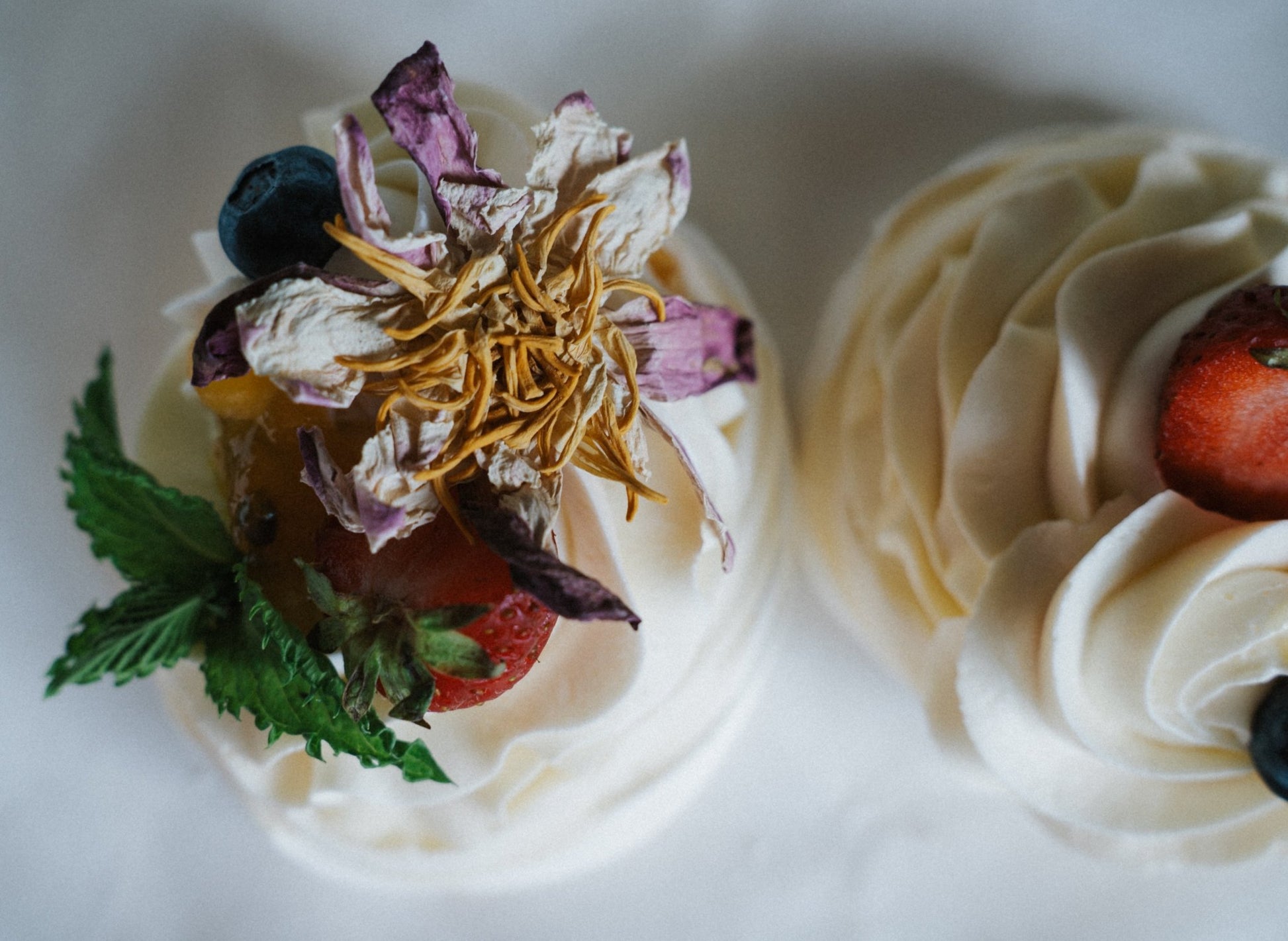 White Lotus flower • Valge Lootos • terved õied - Sinine Tee